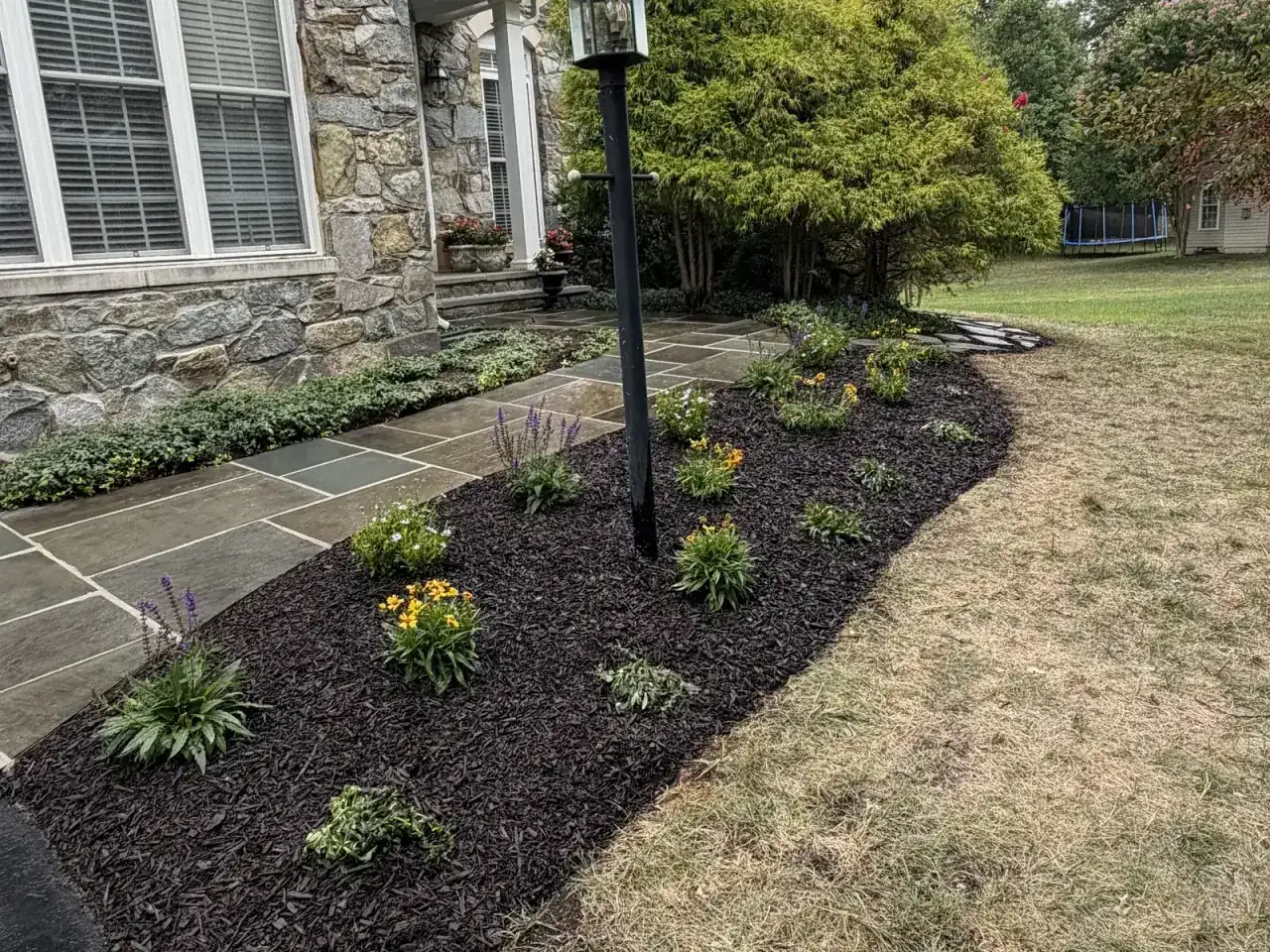 The same spot as a mulched bed with new flowering plants